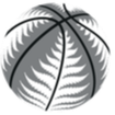 Match Competition Logo