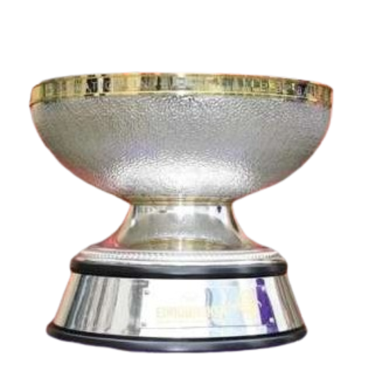 FIBA EuroBasket Şampiyonu