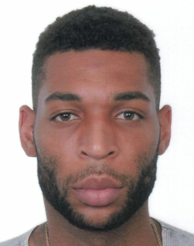 JAMELLE WILLIAM HAGINS