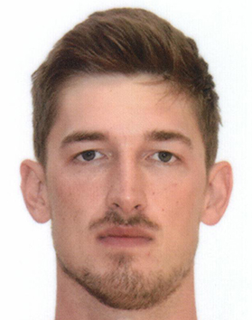 Tibor Pleiss