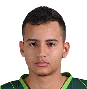 Gabriel Henrique de Souza Silva