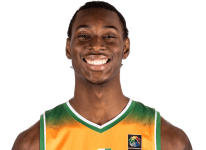 Nelson Tiemoko Lamizana Jr