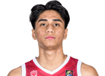 Raiz Nugraha Auliarizal