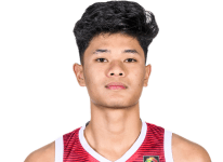 I Nyoman Aldo Dharma Yudha