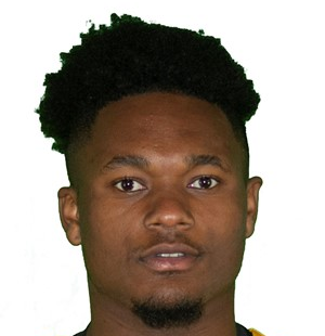 austin downing