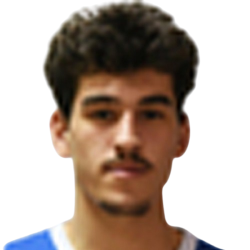 Nikoloz Gaprindashvili