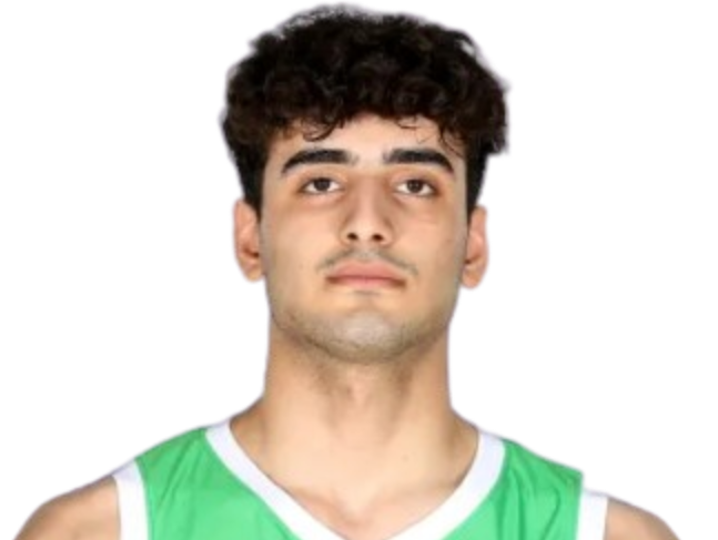 Ali Alaa Hussein Al-Musawi