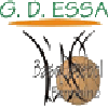 GDESSA Women logo