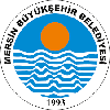 Izmir BSB Women logo
