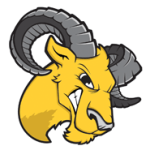 Delaware Valley logo