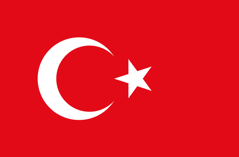 Turkey U17 logo