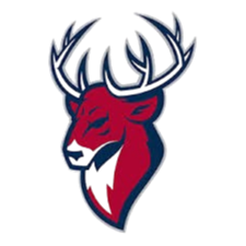 NNGU Nizhnij Novgorod logo