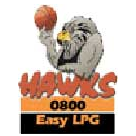 Bay Hawks logo
