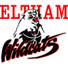Eltham Wildcats logo