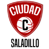 Ciudad de Saladillo U19 logo