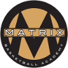 NS Matrix MPL-D logo