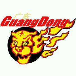 Guangdong Southern Tigers U19 logo