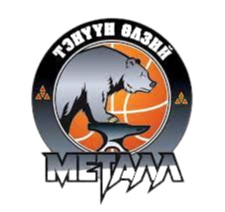 Tenuun Ulzii Metal