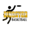 Binagyar logo