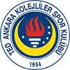 TED Ankara Kolejliler Women logo