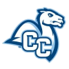Connecticut College logo