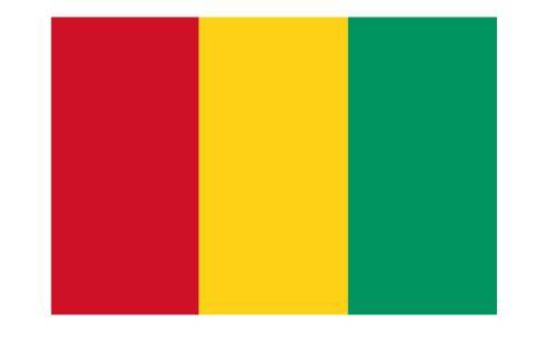Guinea logo