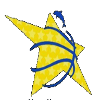 Ashdod Women logo