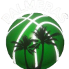 Palmeras Women logo