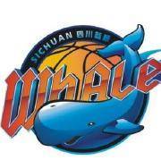 Sichuan Airlines U19 logo