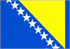 Bosnia U20 logo