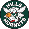 Hills Hornets logo