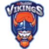 Cobuilder Vikings logo