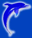 PCU Dolphins