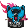 Wetterbaygden Sparks Women logo