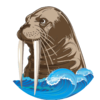 海南