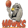 Indigo Hawks logo