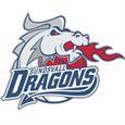Sundsvall Dragons logo
