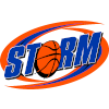 Storms logo