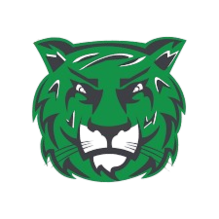 Salem International logo