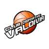 Valdivia SAESA logo