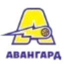 Avangard Kiev Women logo