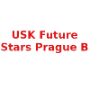 USK Prague B Women logo