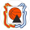 Dinamo Magnitogorsk logo