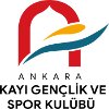 Ankara Kayi Genclik logo