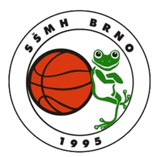 BK Handicap Brno Women logo