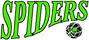 Hornsby Spiders logo