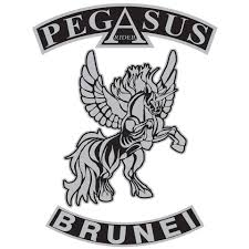Pegasus Brunei logo