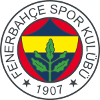 Fenerbahce U19 logo