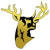 San Sebastian Golden Stags logo