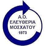 AO Eleutheria Mochatou Women logo